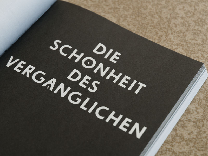 Planstadt Eisenhüttenstadt, Book