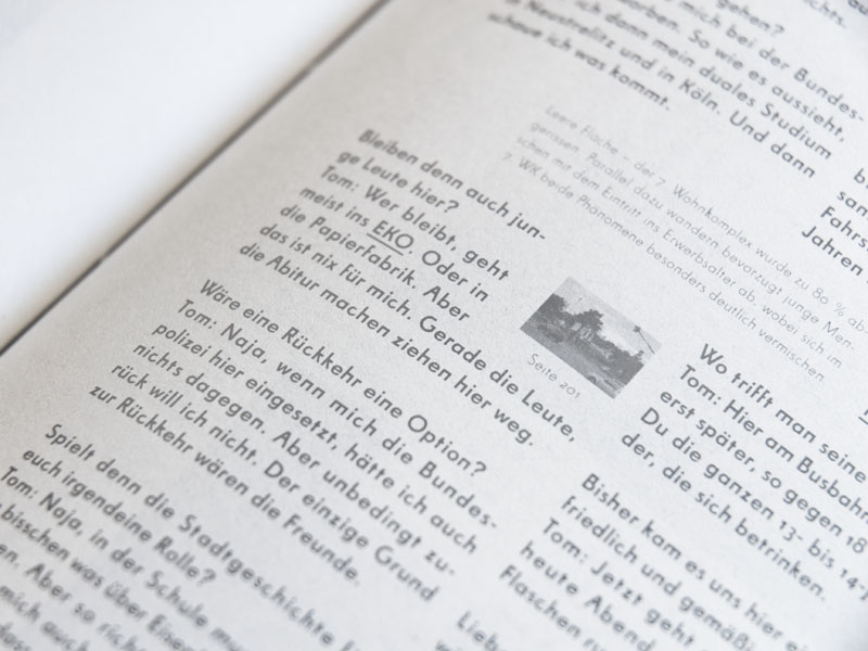 Planstadt Eisenhüttenstadt, Book